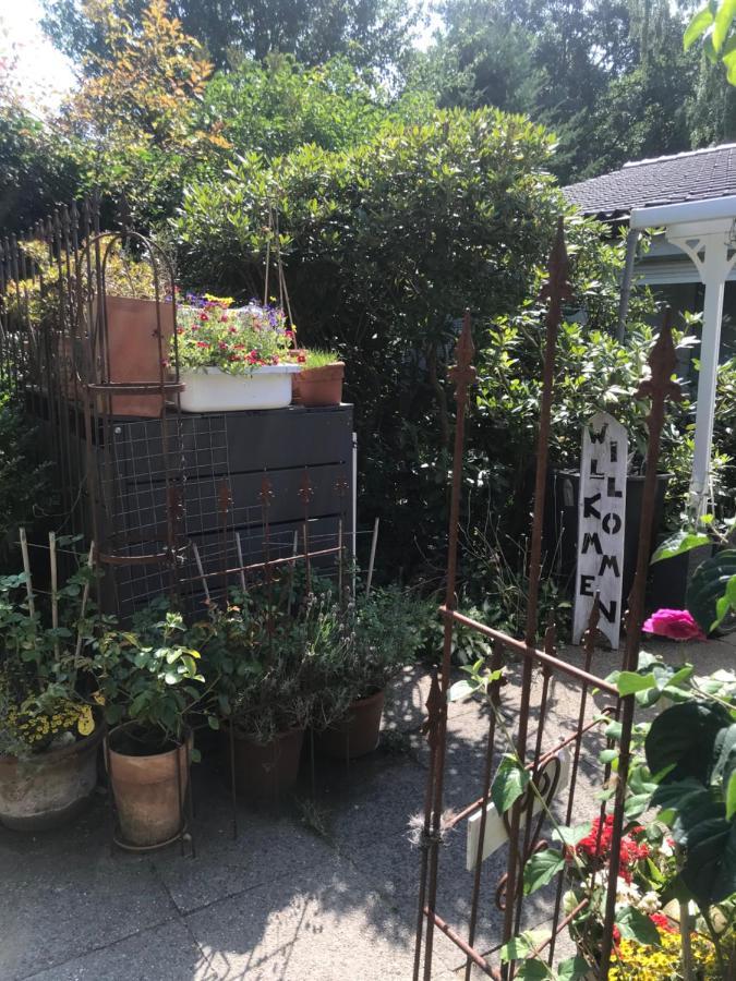 ראינבק Nias Guesthouse מראה חיצוני תמונה