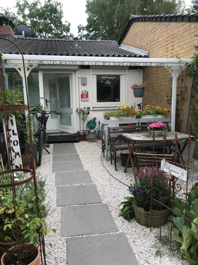 ראינבק Nias Guesthouse מראה חיצוני תמונה